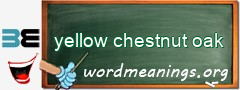 WordMeaning blackboard for yellow chestnut oak